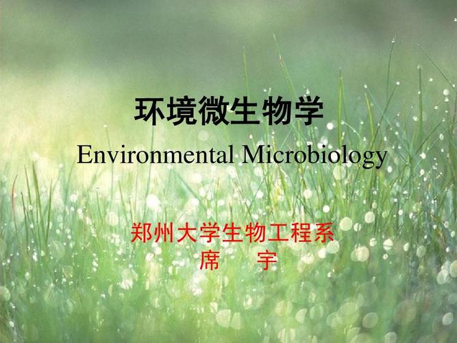 环境微生物学 environmental microbiology 郑州大学生物工程系 席 宇