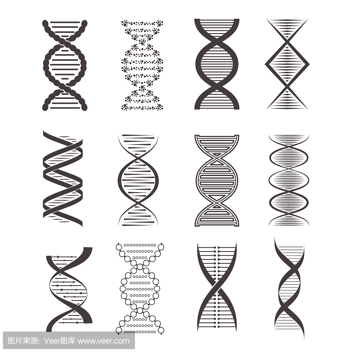 剪影黑色DNA图标设置。向量