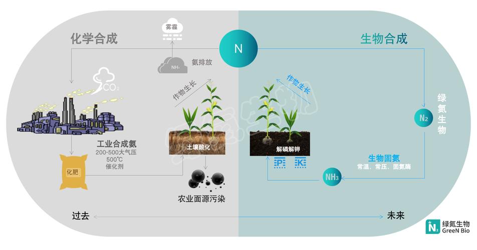 合成生物固氮技术开发平台绿氮生物完成千万元种子轮融资源码资本独家